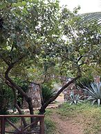 Kendwa Garden's