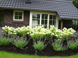 Spa Villa by Salland Forest