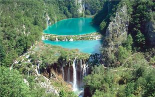Looking for Green, Relaxing Vacation