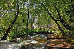 Looking for Green, Relaxing Vacation