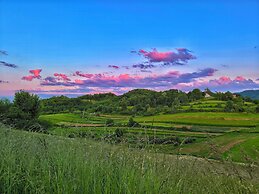 Discover the Magic of Nature