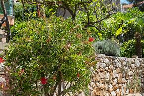 An Apartment Gardenia