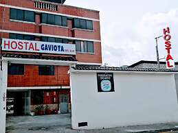 HOSTAL GAVIOTA DEL SUR TRES