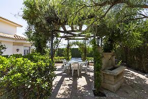 Villa Del Mamut