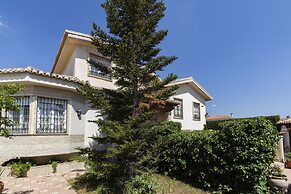 Villa Del Mamut