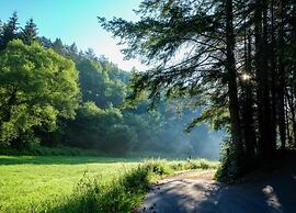 Feriendorf Reinskopf in der Eifel