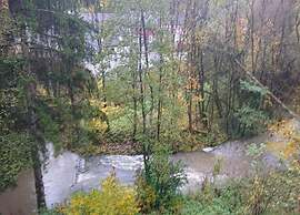 Feriendorf Reinskopf in der Eifel