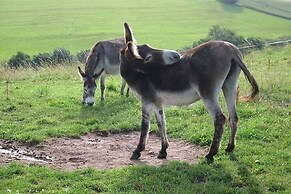 Feriendorf Reinskopf in der Eifel