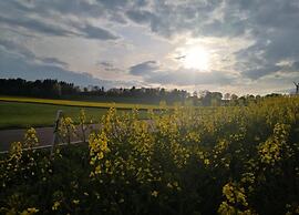 Feriendorf Reinskopf in der Eifel
