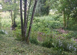 Feriendorf Reinskopf in der Eifel