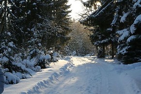 Bungalow Near Eifel Ski Lift