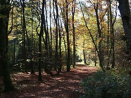 Bungalow in Eifel Near Mountain Trails