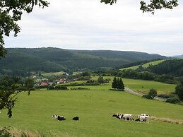 Bungalow in Eifel Near Mountain Trails