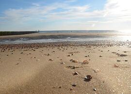 Sunny Zeeland Getaway