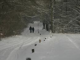 Chalet in Ootmarsum on Kuiperberg