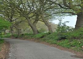Villa Oesterdam Wellness 10 Persons