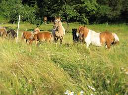 Charmante Ferienwohnung mit Garten in Huddingen