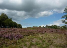 Cozy Chalet in Borger Woods