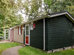 Cozy Chalet in Borger Woods