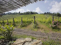Chianti Hillside Farmhouse