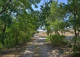 Spacious House in Pienza