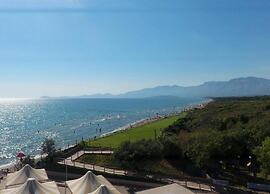 Shaded Retreat by the Beach