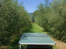 Holiday Home in Cortona
