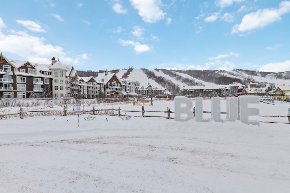 North Creek Condos