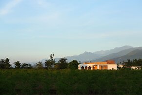 Focacia BNB