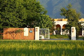 Focacia BNB
