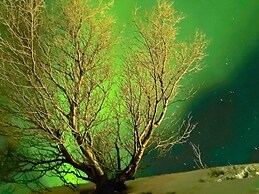 4 Person Holiday Home in Rebbenes