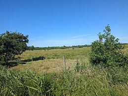 4 Star Holiday Home in Blavand