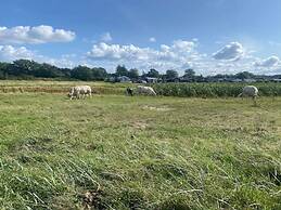 12 Person Holiday Home in Nordborg