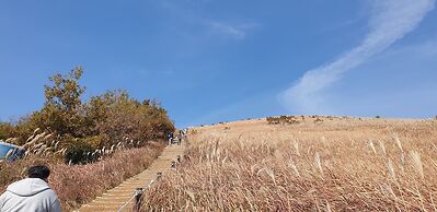 Jeju Ollero