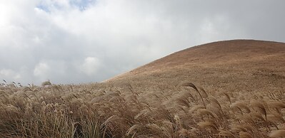 Jeju Ollero