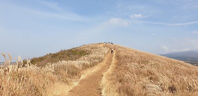 Jeju Ollero