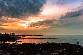 Jeju Ollero