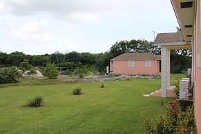 Fishtail Palms Exuma