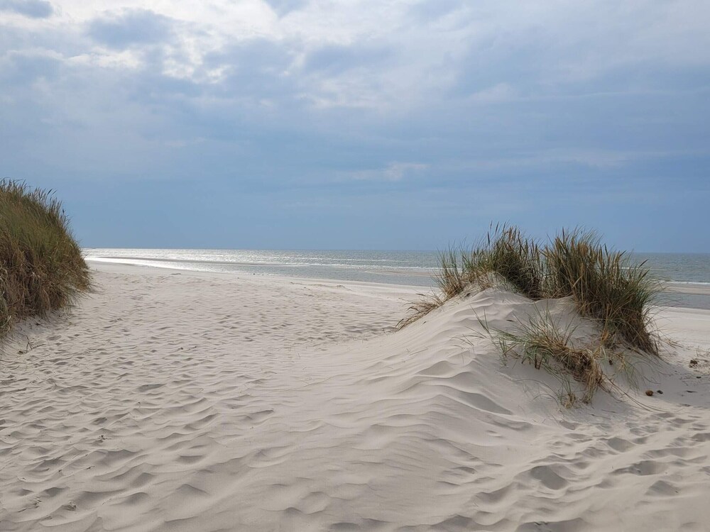 5 Star Holiday Home in Blavand