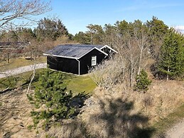 4 Star Holiday Home in Blokhus