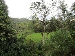 River Front Cabains