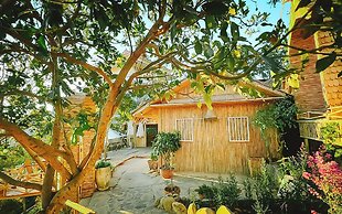 Moc Glamping & Ecohouse