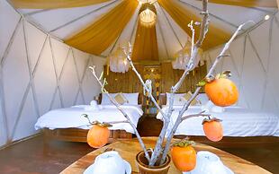 Moc Glamping & Ecohouse