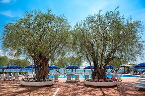 Hotel Torre Oliva