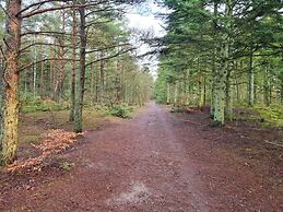 5 Star Holiday Home in Albaek