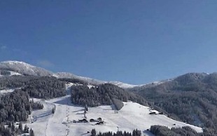 Hotel Alpina