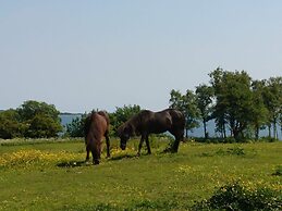 4 Star Holiday Home in Aabenraa