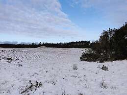 4 Star Holiday Home in Albaek