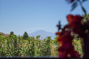 Tenuta San Calogero