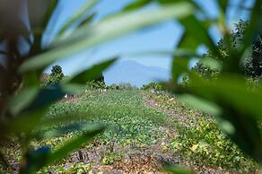 Tenuta San Calogero